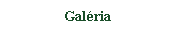 Szvegdoboz: Galria
